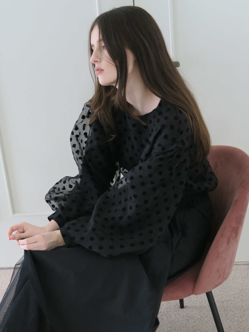 AMERI LONG SLEEVE DOT TULLE TOPS（長袖）