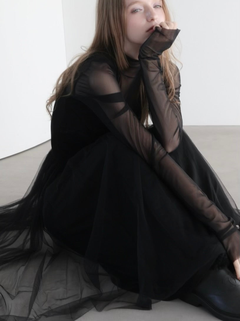 LONG SLEEVE SHEER TOPS – AMOMMA