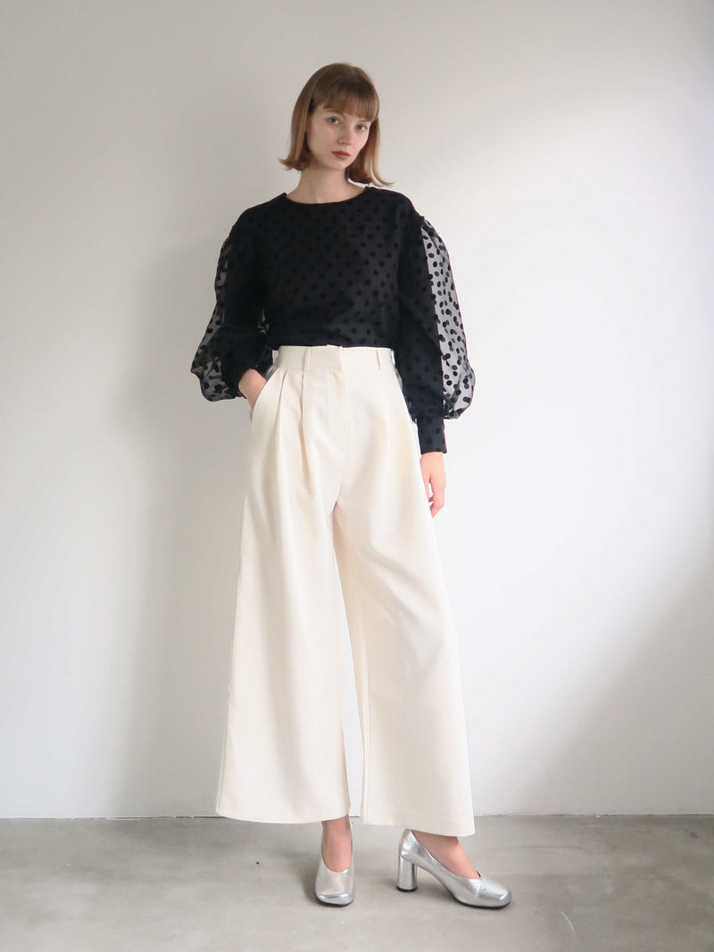 AMERI LONG SLEEVE DOT TULLE TOPS（長袖）