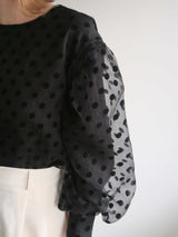 AMERI LONG SLEEVE DOT TULLE TOPS（長袖）