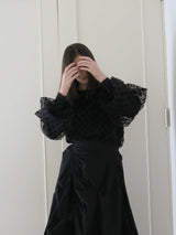 AMERI LONG SLEEVE DOT TULLE TOPS（長袖）