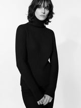 WOOL LAME RIB TURTLE KNIT